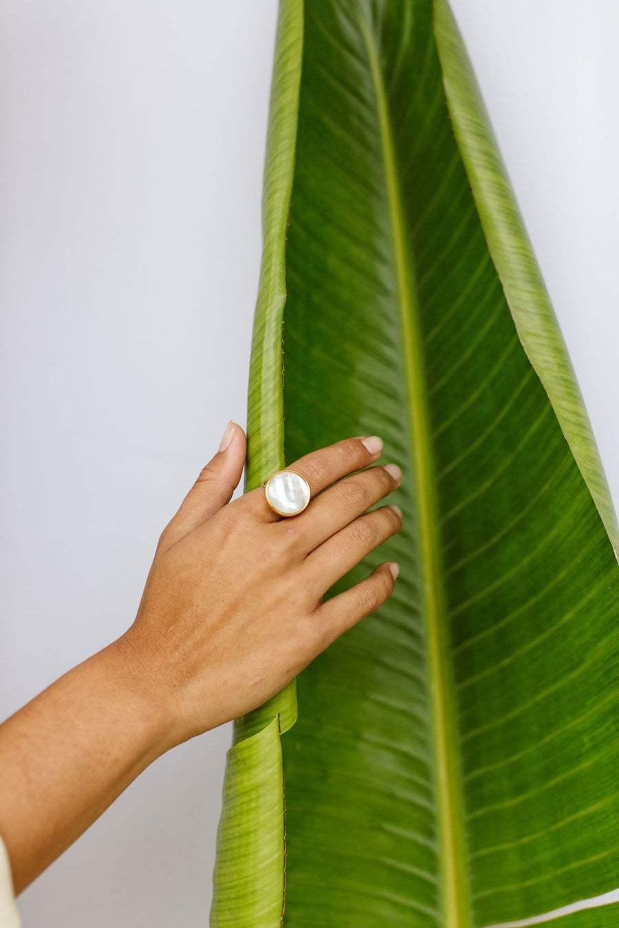 Sequoia Ring